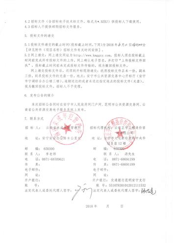 修正公告2