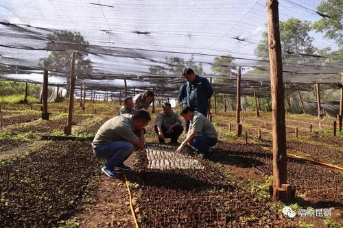 微信图片_20180611111100 9 微信图片_20180611111100 9