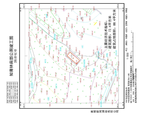 图片8