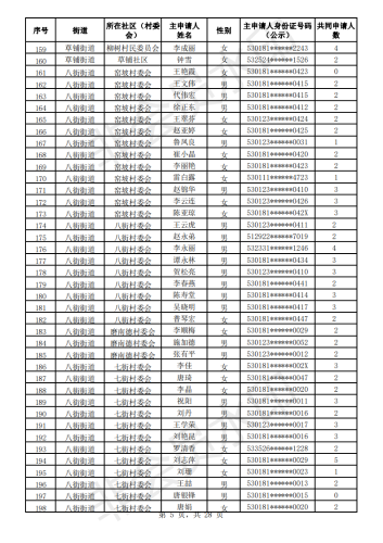 2020年公共租赁住房初审公示表_04