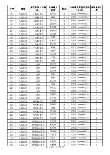 2020年公共租赁住房初审公示表_05