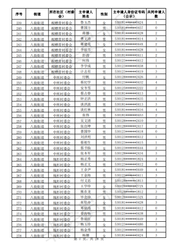 2020年公共租赁住房初审公示表_06