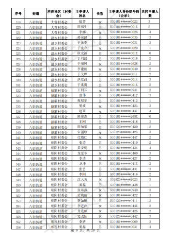 2020年公共租赁住房初审公示表_08