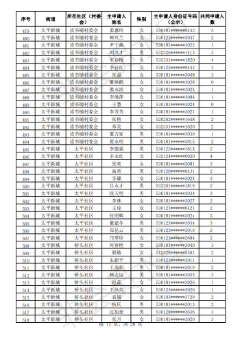 2020年公共租赁住房初审公示表_12