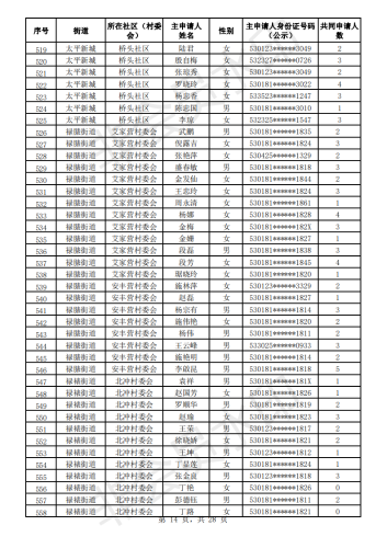 2020年公共租赁住房初审公示表_13
