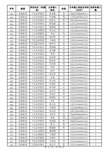 2020年公共租赁住房初审公示表_16
