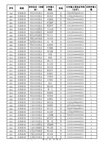 2020年公共租赁住房初审公示表_20