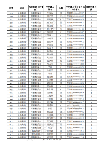2020年公共租赁住房初审公示表_22