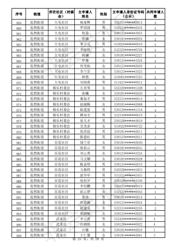 2020年公共租赁住房初审公示表_24