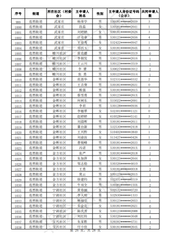 2020年公共租赁住房初审公示表_25
