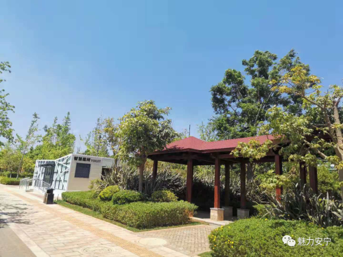 口袋公园 (1)