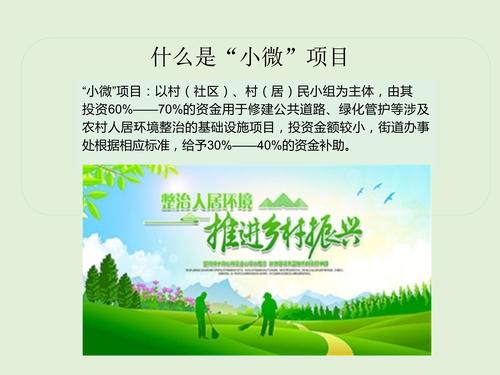 一图读懂《太平新城街道农村人居环境改造提升“小微”项目实施方案（试行）》_1