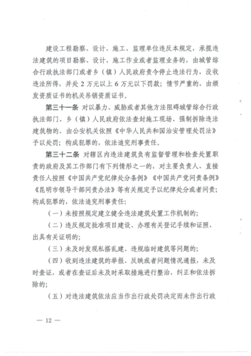 《昆明市违法建筑处置办法》（昆明市人民政府令第144号）_11