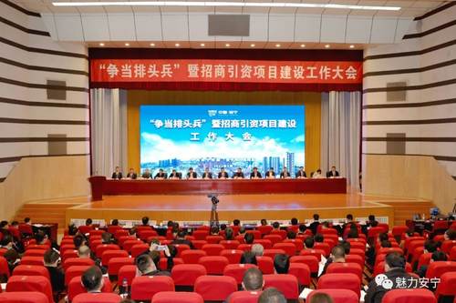 图片1 图片1