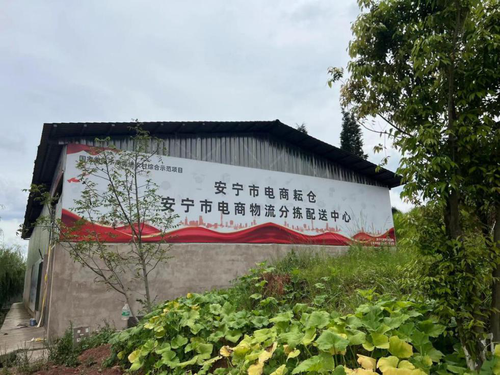 图片3