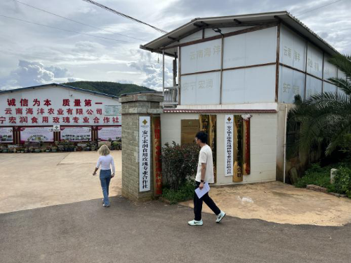 图片1