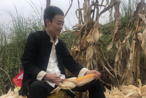 图片1