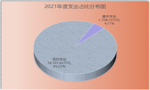 2021年度支出占比分布图