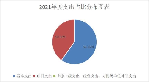 2021年度支出占比分布图表