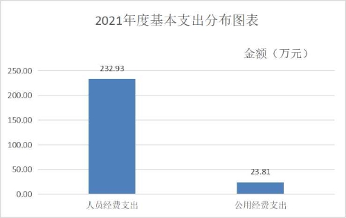 2021年度基本支出分布图表