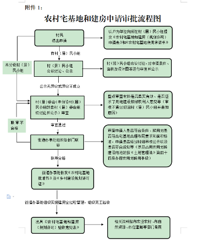 图片11