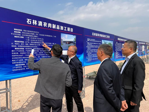 图片12