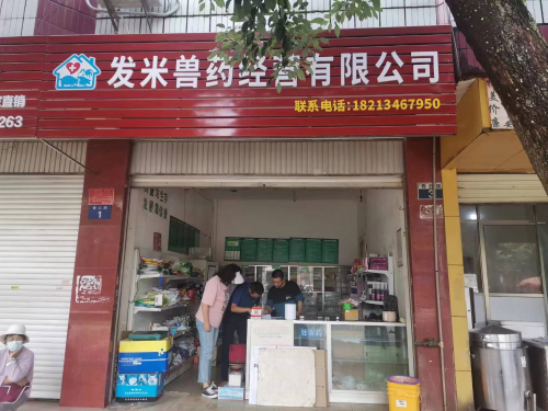 图片4