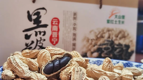图片9