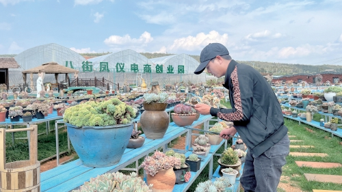 图片1