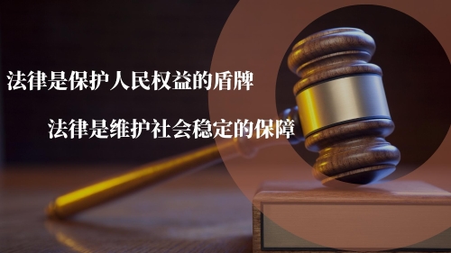 法律是保护人民权益的盾牌，法律是维护社会稳定的保障