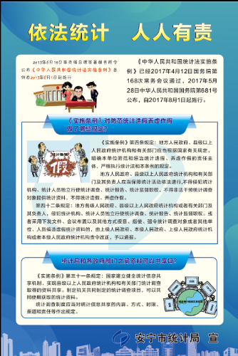 依法统计  人人有责