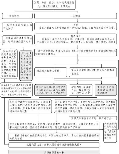 执法程序