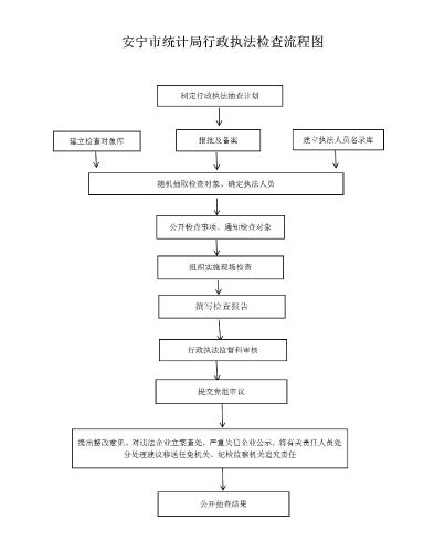 2021.1.16安宁市统计局行政执法检查流程图_01