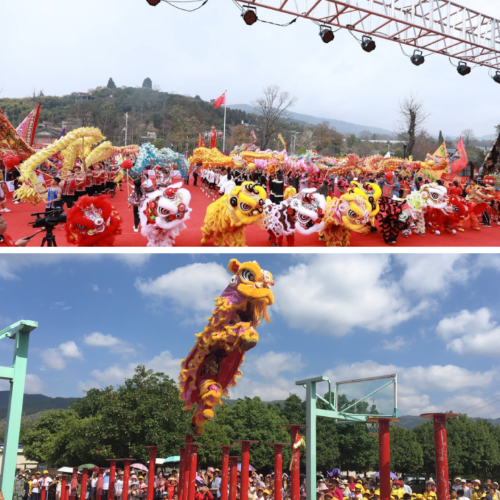 图片15