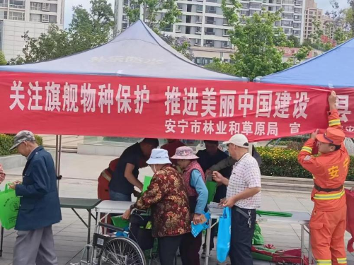 图片14