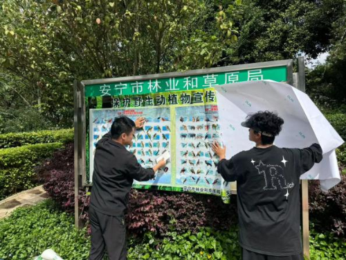 图片16
