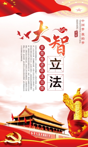 大智立法