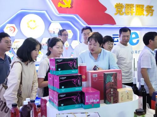 图片3