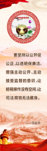 习近平法治精神10~1