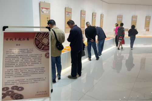图片7