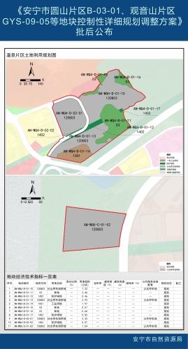 批而未供调停车场（圆山、观音山等）批后公布_03