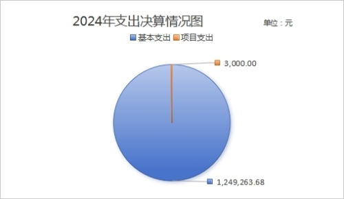 2024年支出决算情况图