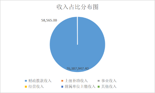 收入占比分布图
