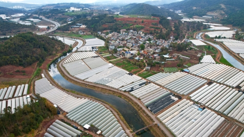 8fca6e74129d72f48fa7f6fa1be5d0c