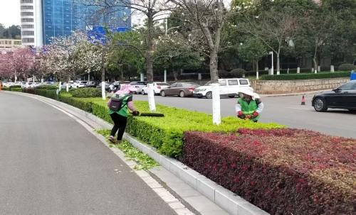 人勤春早养护忙 精细养护焕新颜1