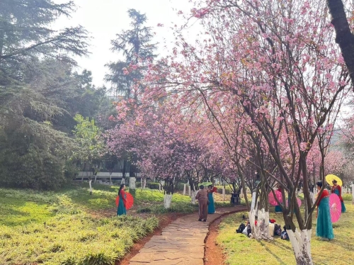 精细化养护焕新颜 圆山广场繁花迎客来2