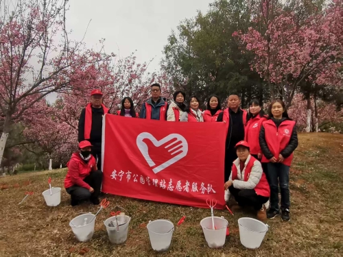 书香伴芳华  赏花庆三八3