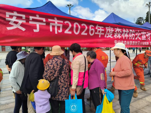 图片2