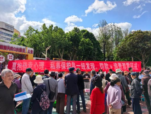 图片4