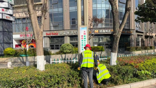 图片4